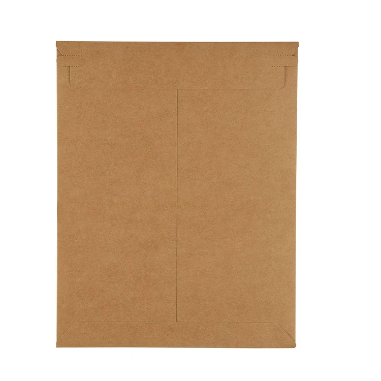 Self Adhesive 7x9 Inch Custom Printing Rigid Document Kraft Mailer Mailing Envelope For Photos
