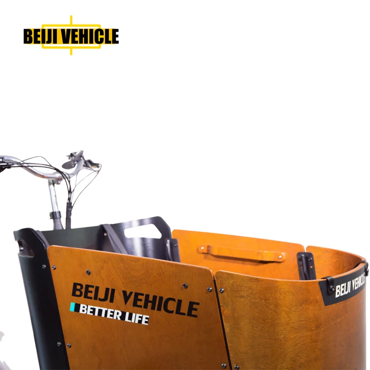 Heavy Duty Front Cabin Electric Cargo Tricycle Carry Kids Family Cargo Bike