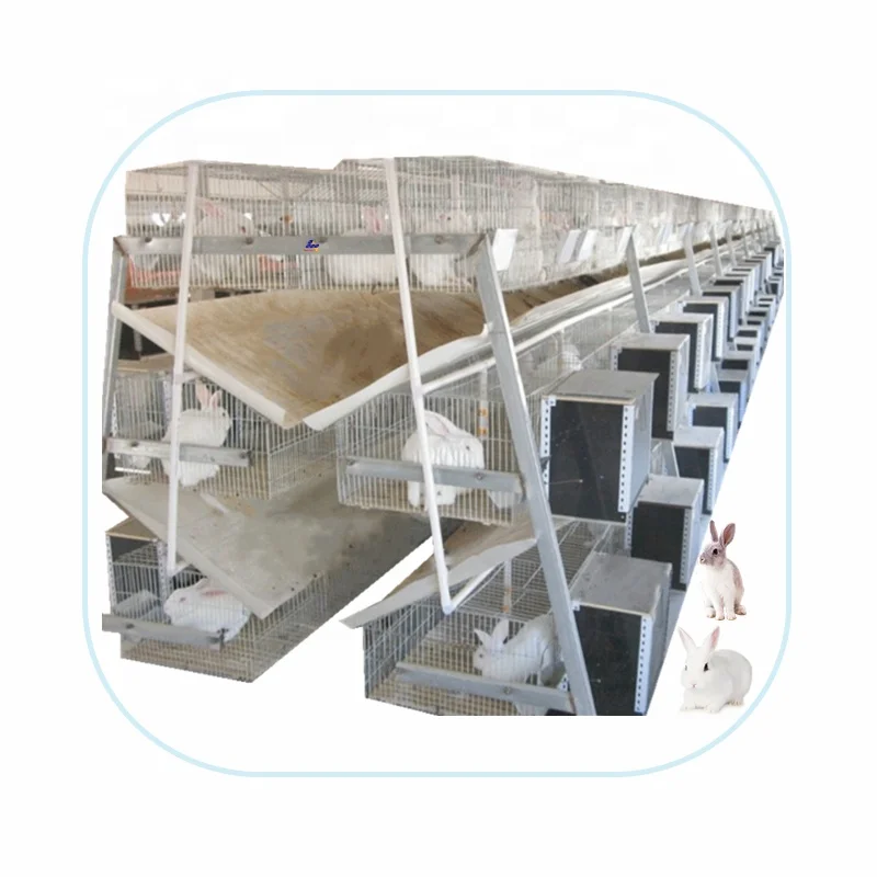 Competitive Equipment Morant Hutch Customized Size With Granular Feed Trough Installed Rabbit Cage