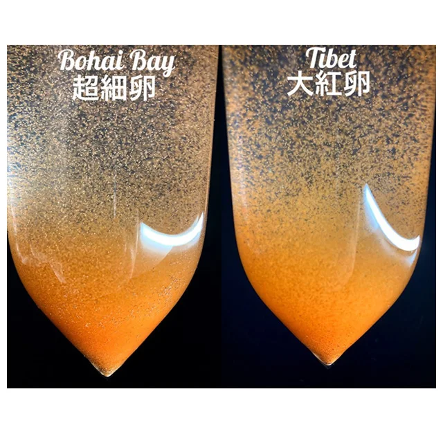 China factory Artemia cysts Bohai bay eggs BBS for guppy feed brine shrimp eggs HOT SALE