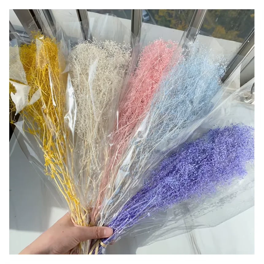 Babysbreath Bouquet Arrangement Gypsophila Phantasy Star Babysbreath Dry Million Stars Gypsophila Preserved Million Star