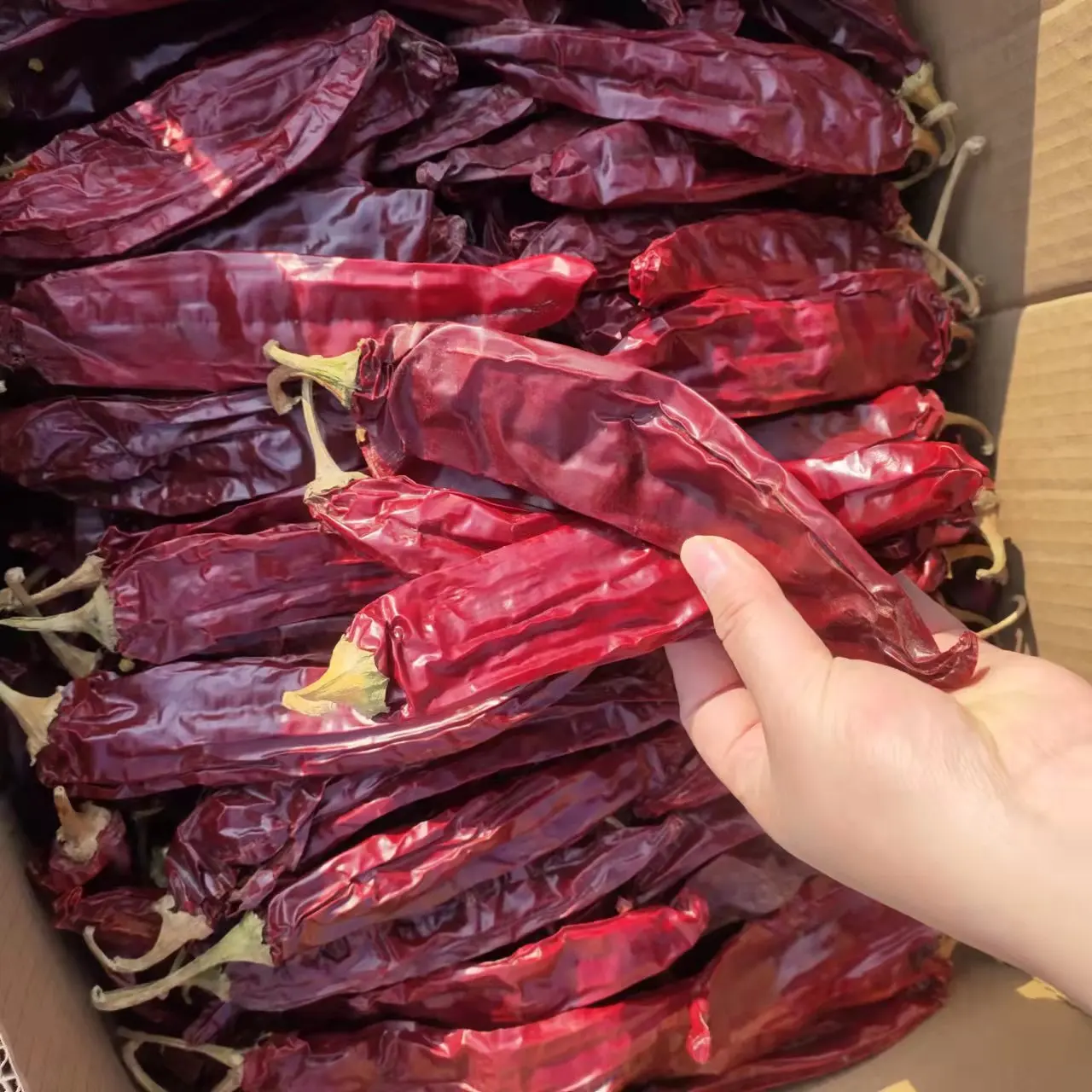 PAPRIKA POWDER 25KG  PAPRIKA POWDE 25LB   Pride of Sweet Paprika Powder Hungarian Style Seasoning Spice Deep Red color