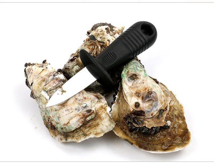 
Stock Cheap Kitchen gadgets cooking seafood tools stainless steel oyster knife 