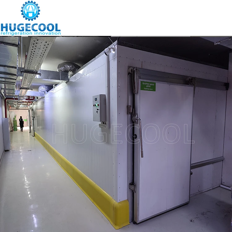 Walk in freezer container cold cooler storage room freezer with condensing unit cooler