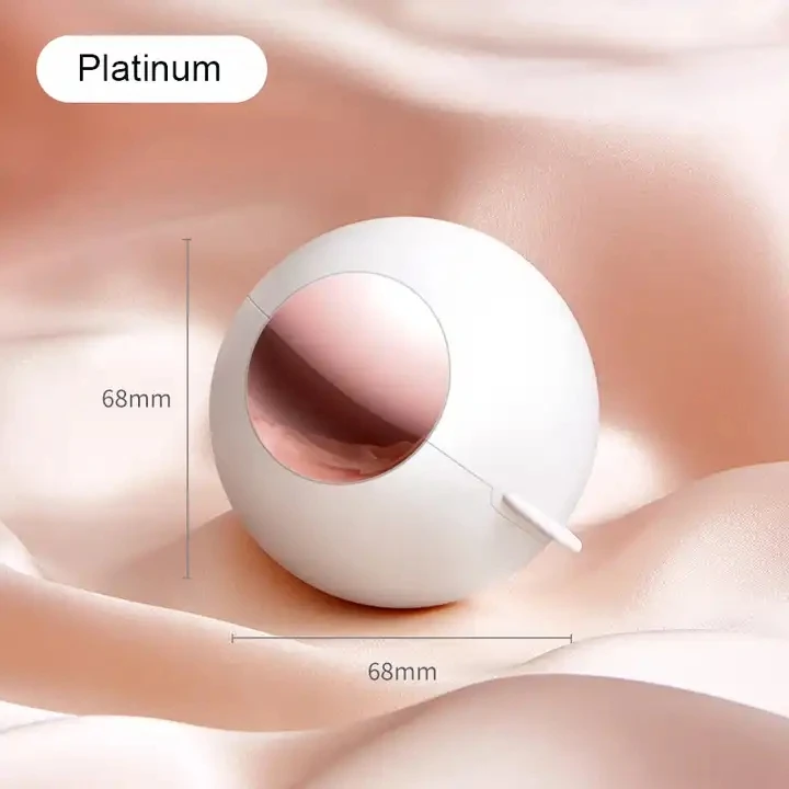 Hot Household Reusable Sticky Hair Ball With Cover Portable Mini Travel Lint Rollers For Pet Hair Extra Sticky