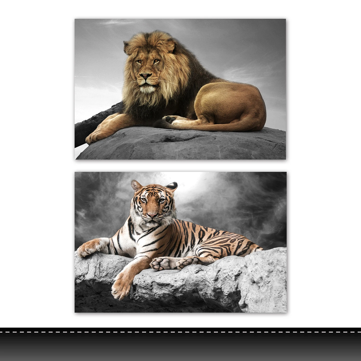 Modern Wild Animals  With Frame Canvas Picture Decorative  Painting