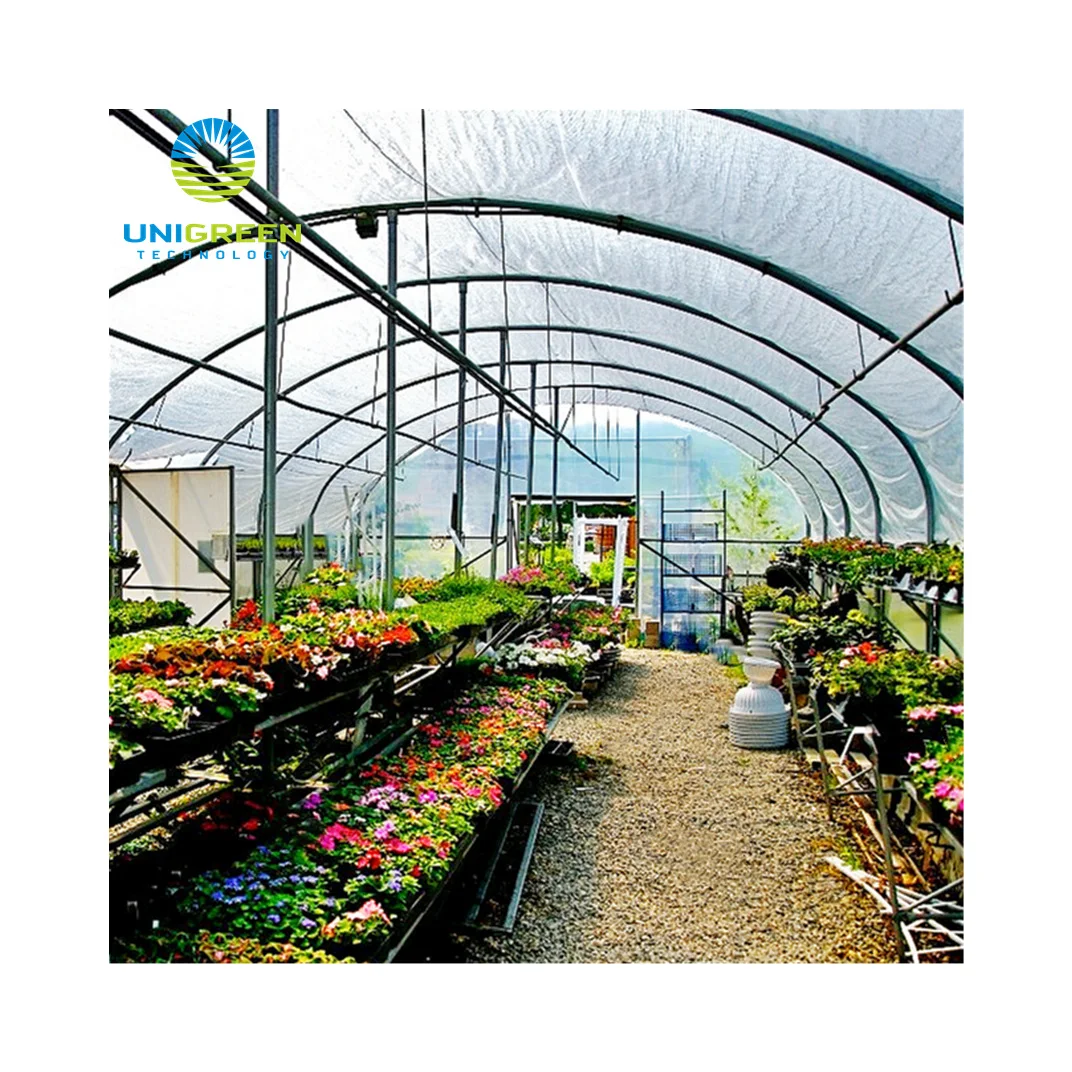 Poly Tunnel  Greenhouse Plastic  Film Greenhouse for Sale