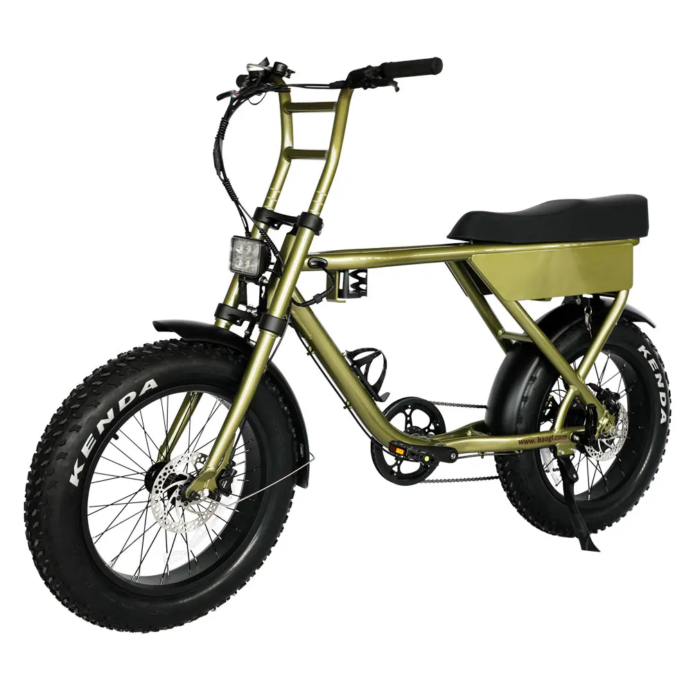 EU Warehouse 20 inch 48V250W motor 7speed long saddle fat tire all terrain vehicle electric bike