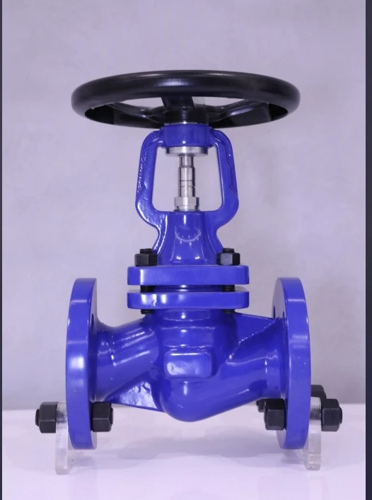 High Quality DN25 Stainless Steel Flange Globe Valve with Bellow Seal Factory Low-Priced Manual Power OEM Customizable