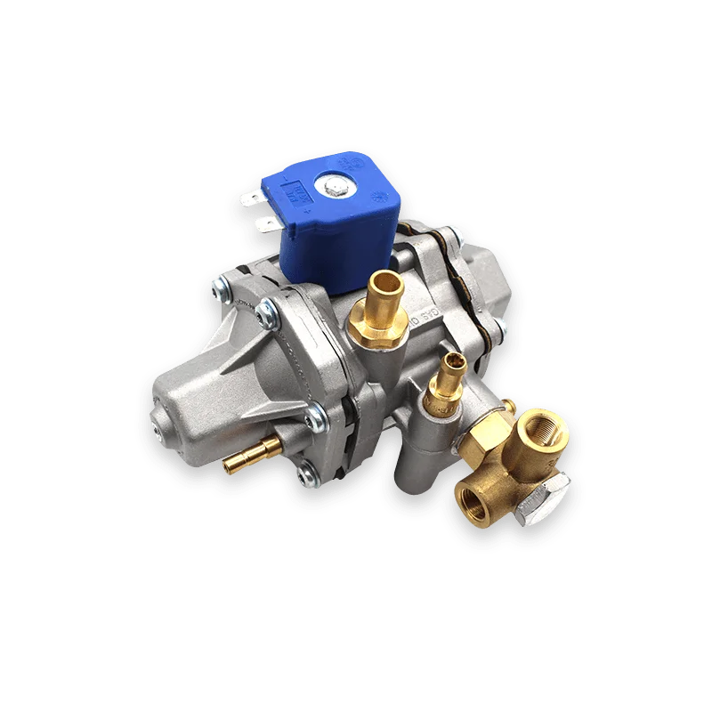 Made in China High Standard At12 Factory GNC GNV convert part system CNG Pressure Reducer