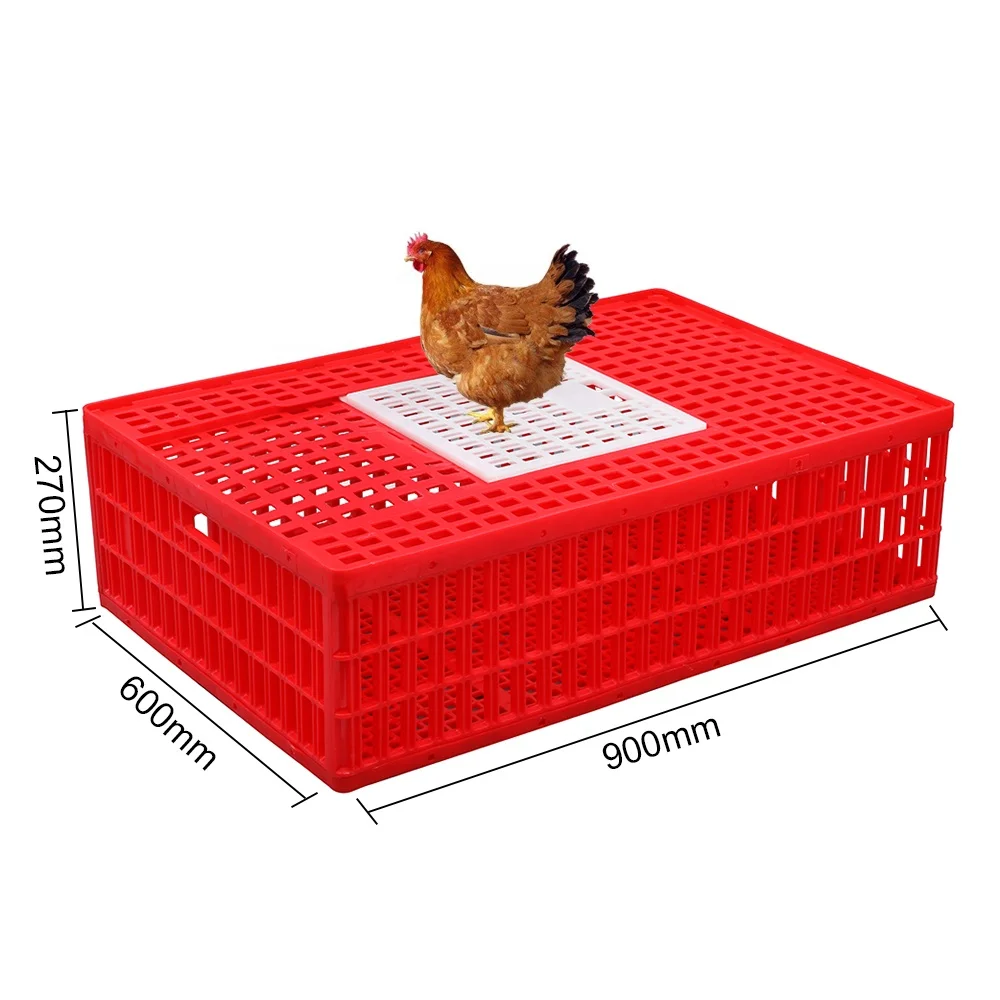 Easy grabbing 16 chickens hold large 900*600*270 mm disassembled foldable plastic poultry crate / transport coop
