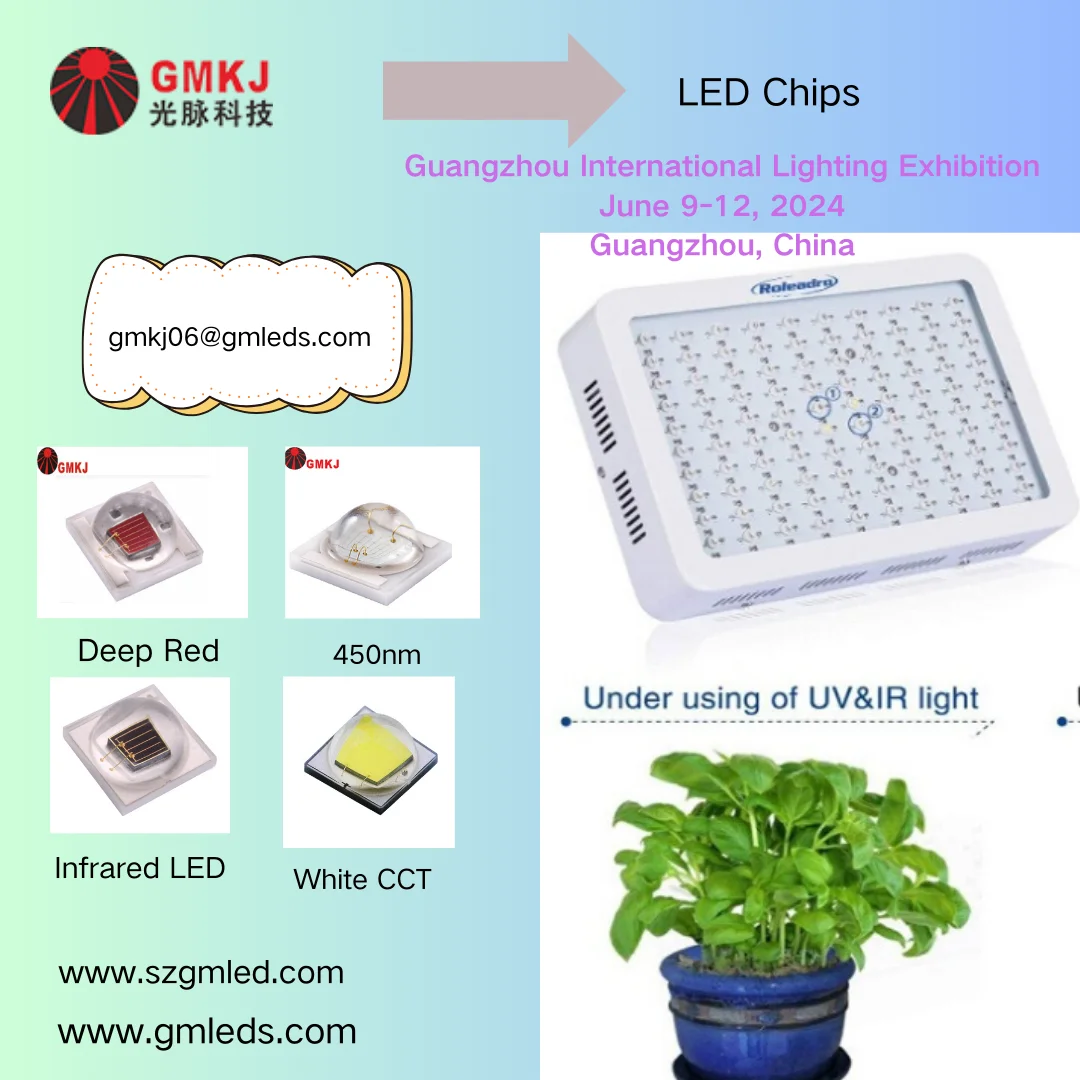 led chip 3w 1w led price 440nm 450nm 460nm blue color smd 3535 led diode price chips 1w 3w