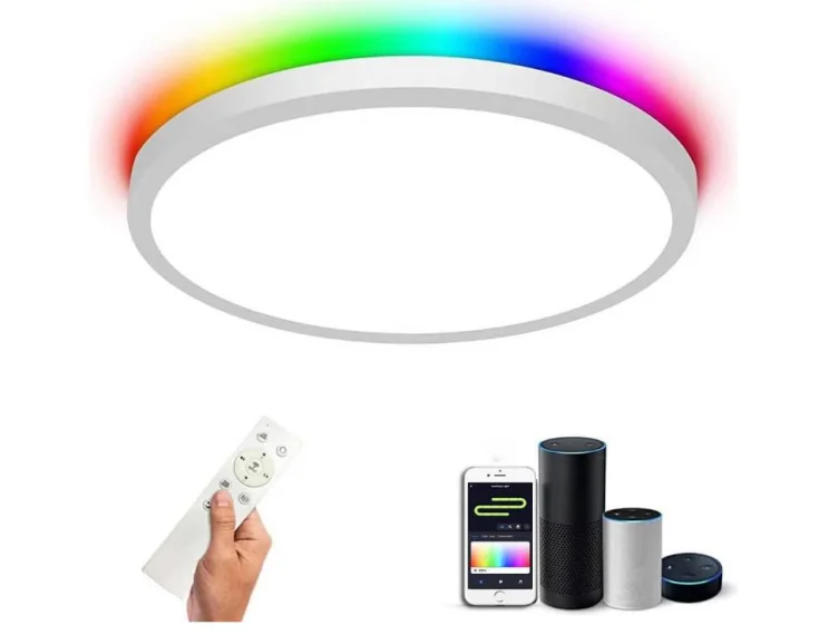 2.4G Bluetooth LED Ceiling Light 12inch Flush Panel with 2000K-6000K 24W Shape Home Office IP44 Rated Remote Control