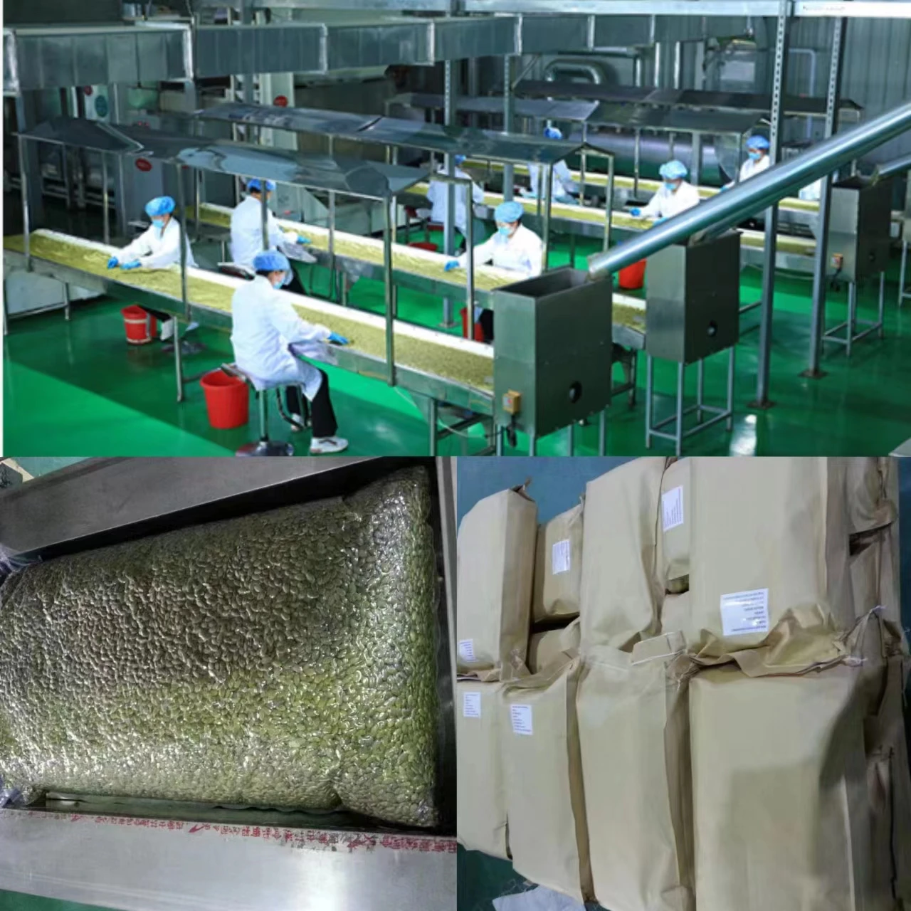 China factory supplier hot selling delicious pure natural pumpkin seed kernels roasted  pumpkin seed
