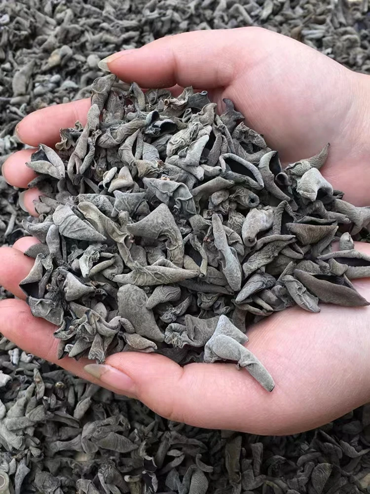 high quality chinese black fungus black (wood) fungus export