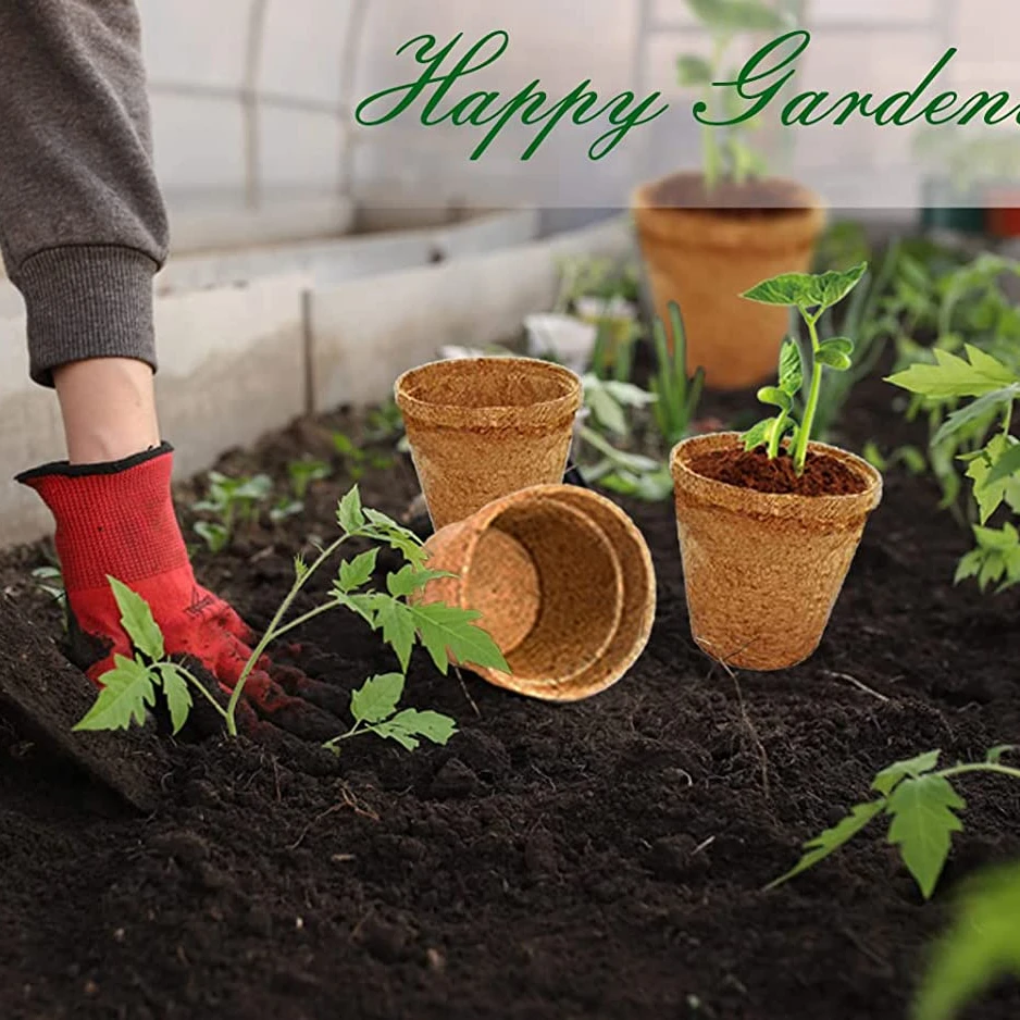 Wholesale 6 inch diameter Biodegradable Seedling Starter Planting peat pots