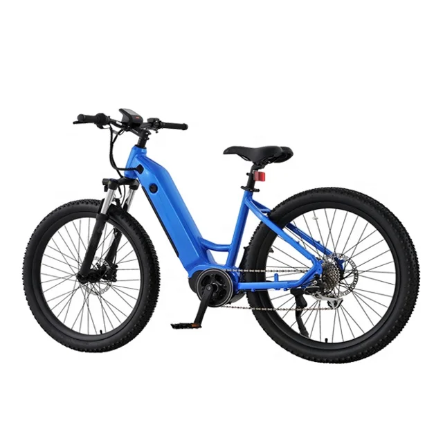 High Power Off Road Electric City Bike Adult Two Wheel 10.4Ah with City Mountain Electric Bicycle