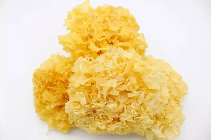 The best tremella fusiform white fungus manufacturer is extremely popular with best price