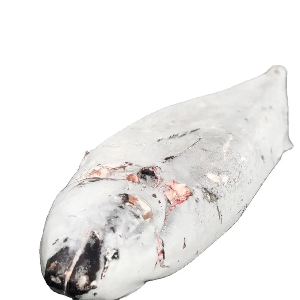 
Factory sale various good quality IQF frozen oil fish for fresh seafood 