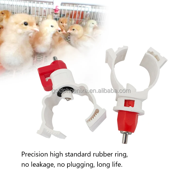 yyc Automatic Poultry Drinking System Broiler Chicken Water Feeder Nipple Drinker chicken poultry