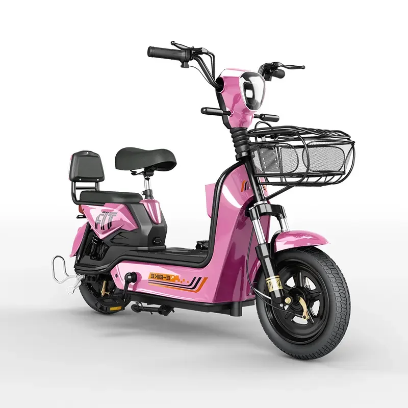 Inexpensive Electric Vehicles 350W and 500W Motor Electric Bikes