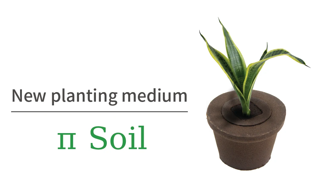 Eco-Friendly Coco Coir Peat Cocopeat Blocks for Sustainable Garden and Greenhouse Applications