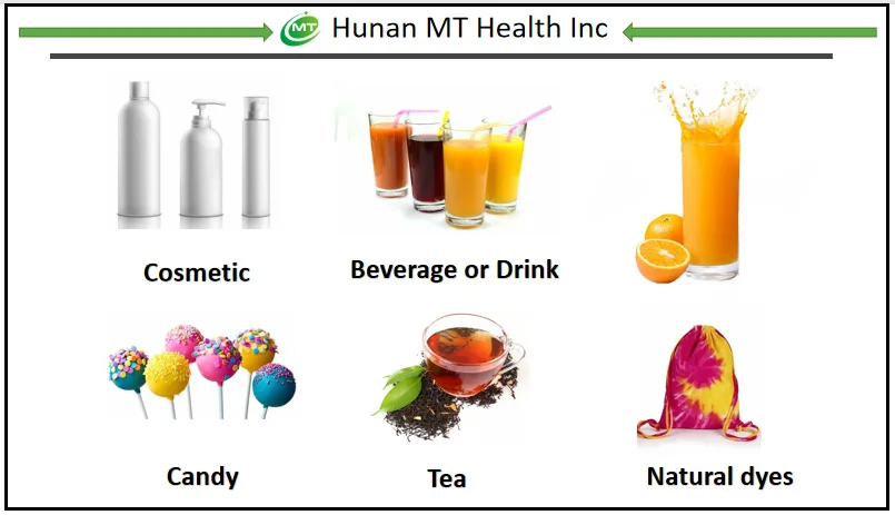 Application MT Health.png