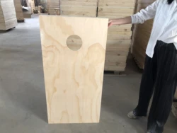 PERFECT Varnished Official Cornhole Bean Bag Ring Toss Game Board with Carry Case / ACO regulation