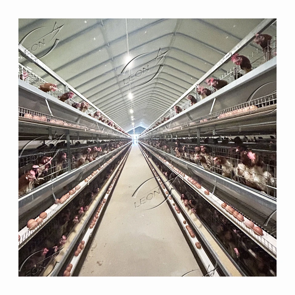 High Quality Automatic H Type Layer Battery Egg Chicken Cage for Poultry Farm