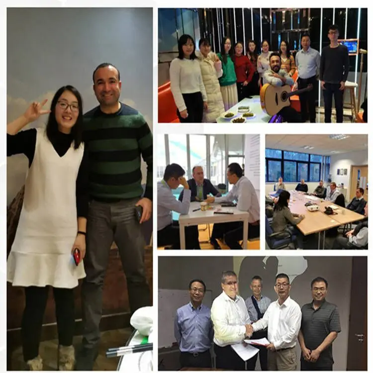 food grade pomegranate extract 80% pomegranate seed extract powder