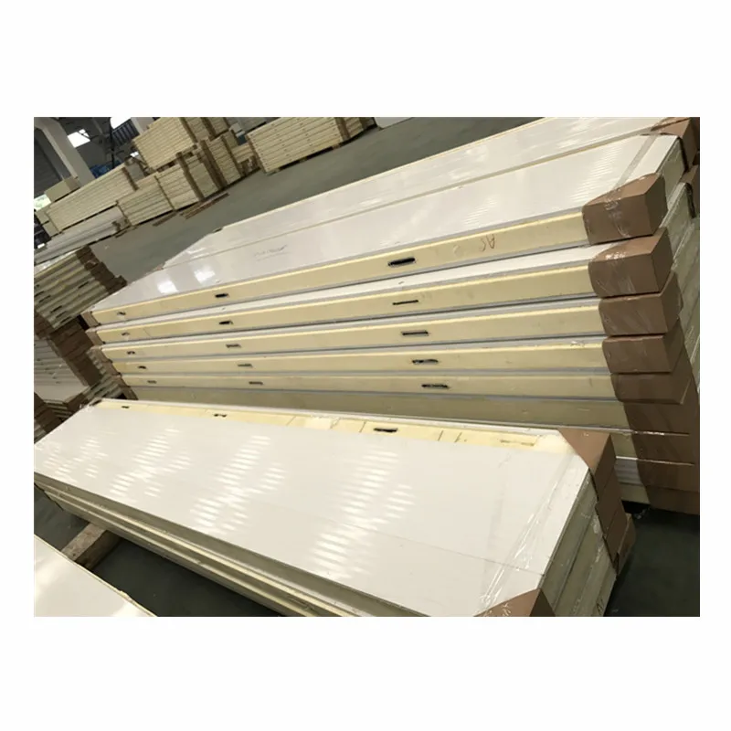 Walk in Cooler Room Cam Lock PU Panel