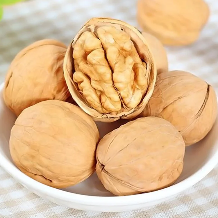 
Chinese Organic Ukraine Fresh Whole Nuts Raw Halves Kernels Fruit Walnut without Shell 