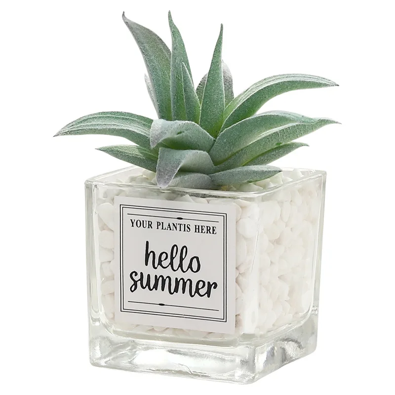 Mini Wholesale Artificial Succulent Plant Glass Bottle Gift Set Glass Bottle Decorative Flowers And Plants