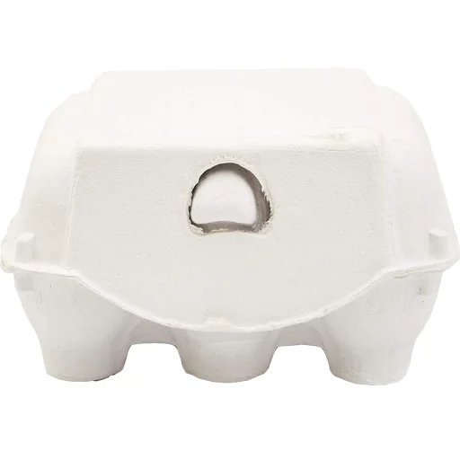White 6 holes egg holder quail egg trays with lid Biodegradable pulp egg carton 6 sets holes wholesale supplier custom