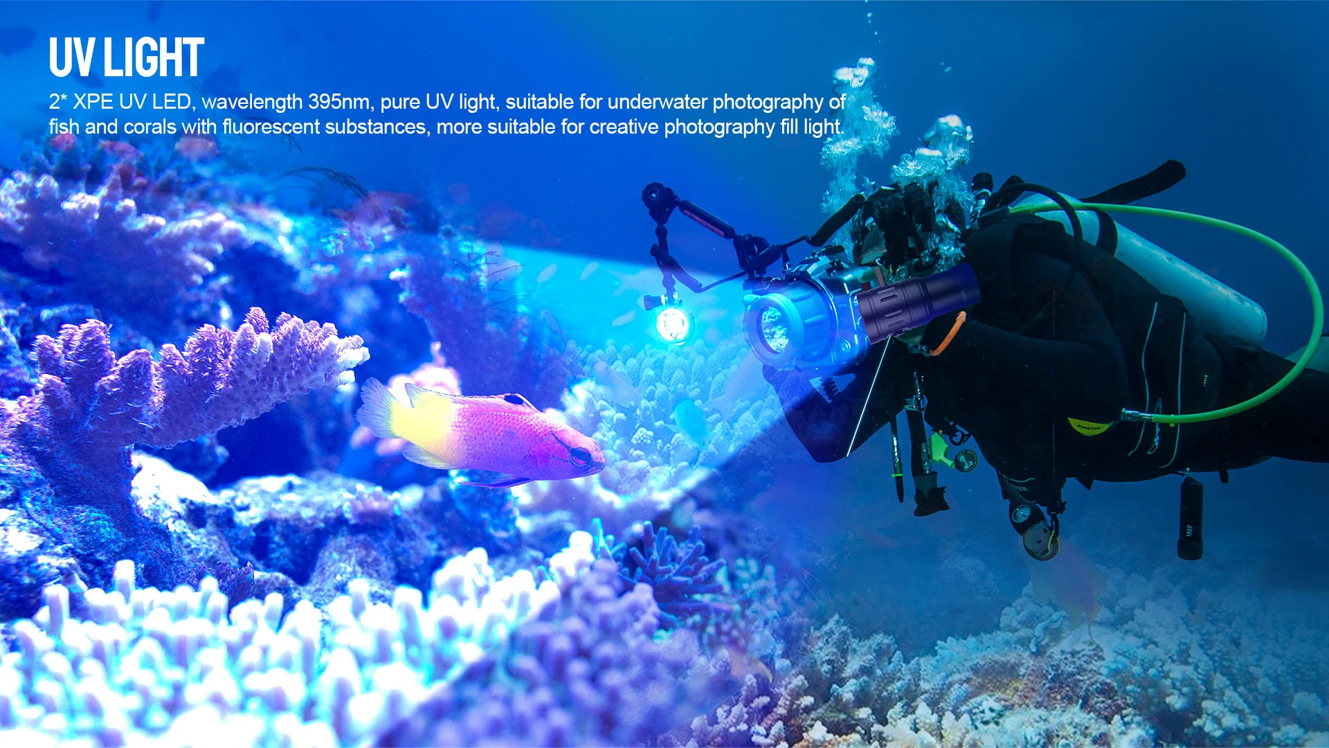 TrustFire DF35 Red UV Diving Flashlight 2350LM USB rechargeable Underwater 70M Scuba Photography Video Flashlight