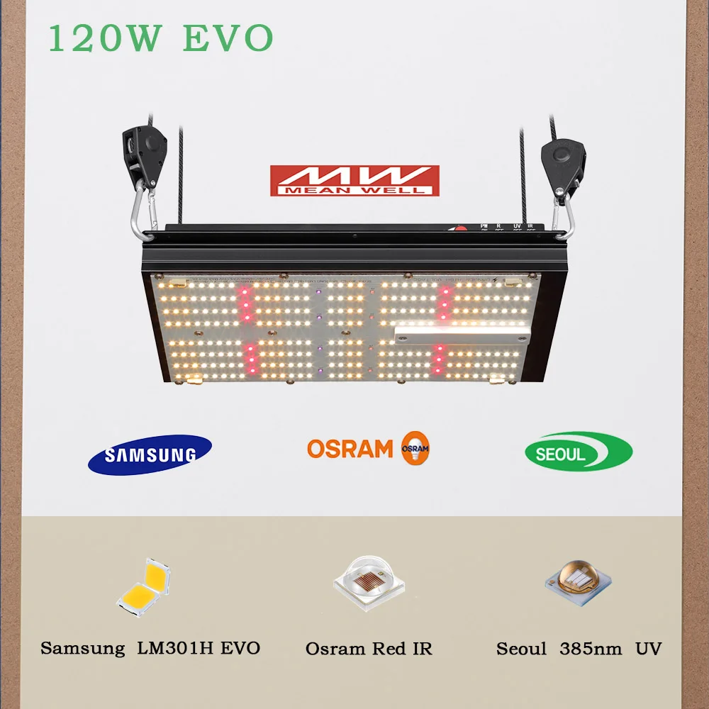 BAVAGREEN 120 Вт Samsung LM301H EVO Светодиодная лампа для роста красный ИК-УФ-переключатель полного спектра диммируемая гидропонная палатки 2x2 фута