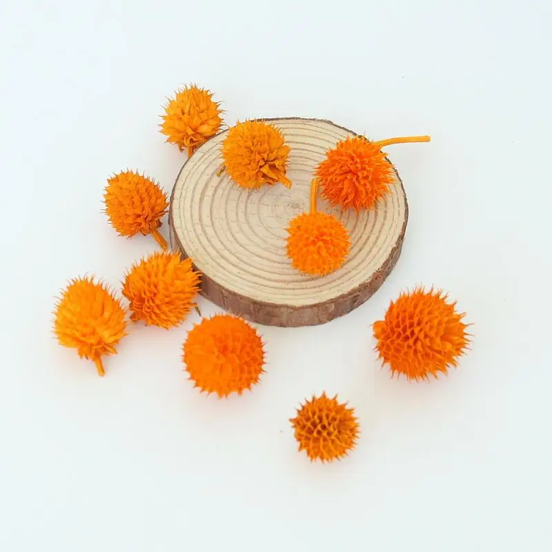 Natural air-dried amaranth stick flower head strawberry fruit wedding decoration shooting props.