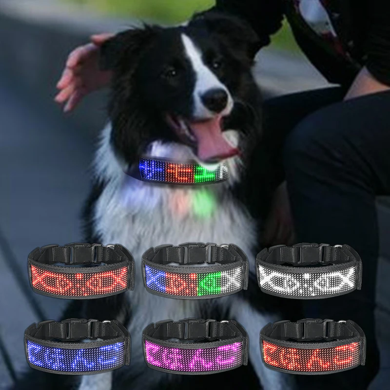 Programmable waterproof Led Light Dog Collar For Small Dog LED Collar Leash dog collar with editable name plate