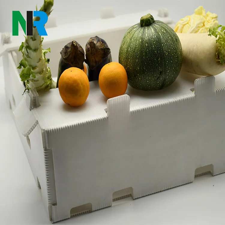 Полипропиленовая полая коробка пластиковый коропласт рыбы фруктов двойных коробки для упаковки/мусорное