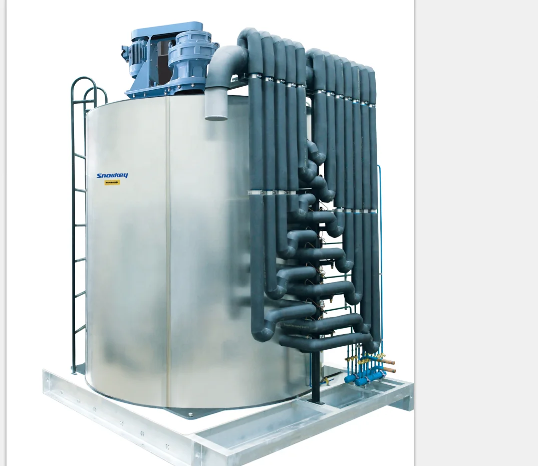 
Snowkey Commercial 60 ton Big Flake Ice Machine for Cold Storage 