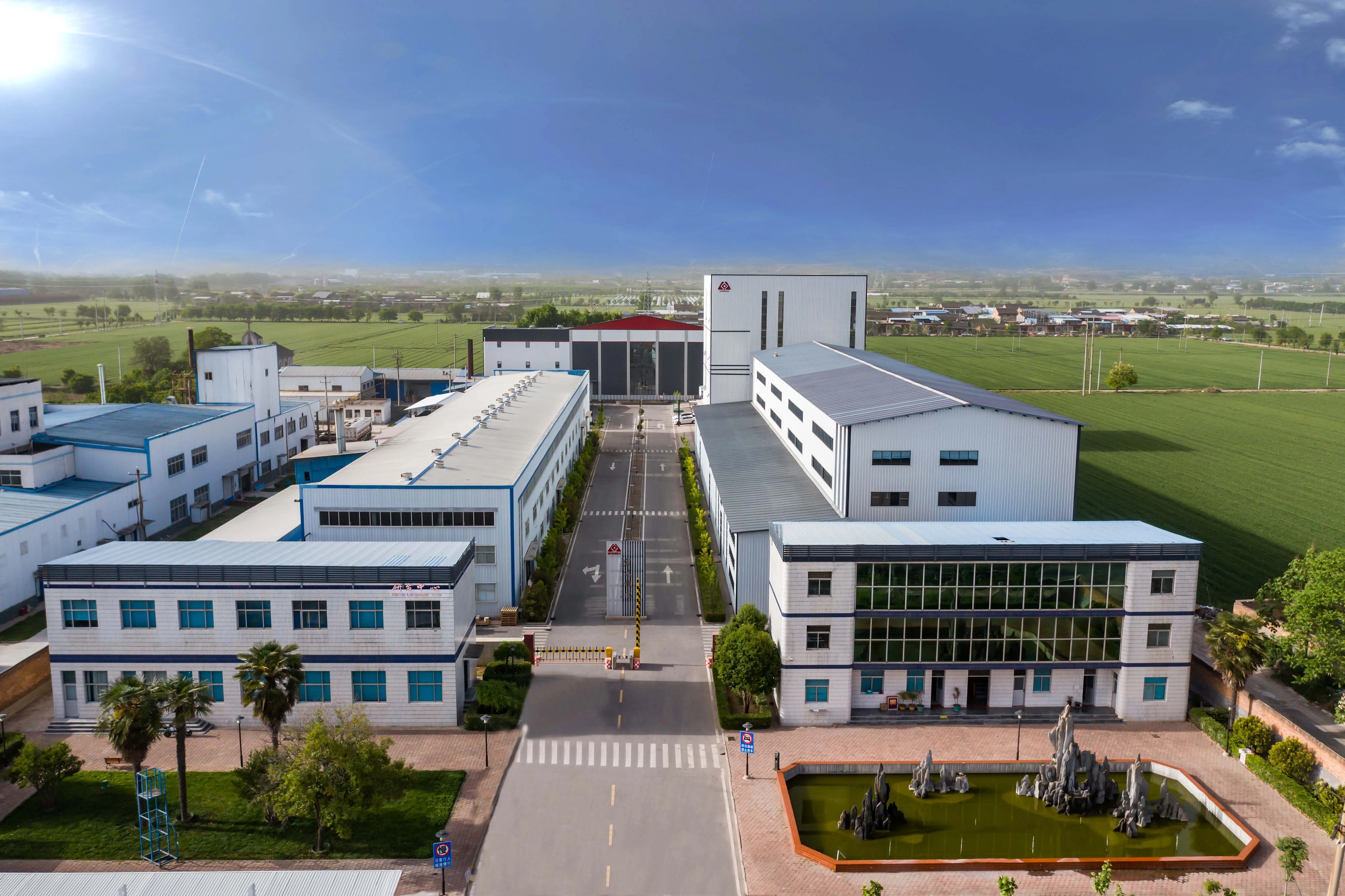 Natural Pomegranate Peel Extract 40% Ellagic Acid 90% Polyphenol Pomegranate Peel Extract Powder Ellagic Acid