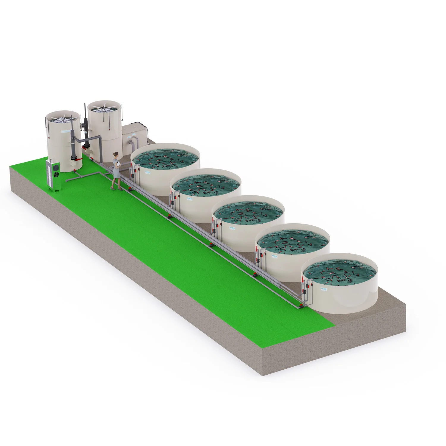 Freshwater Tilapia Hatchery Equipment Square PP Fish Pond Breeding and Incubation Kit