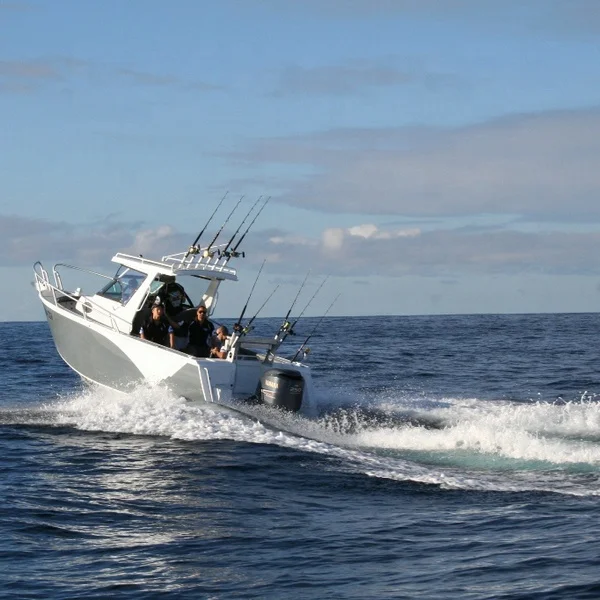 Рыболовная лодка с дистанционным управлением для продажи по заводской