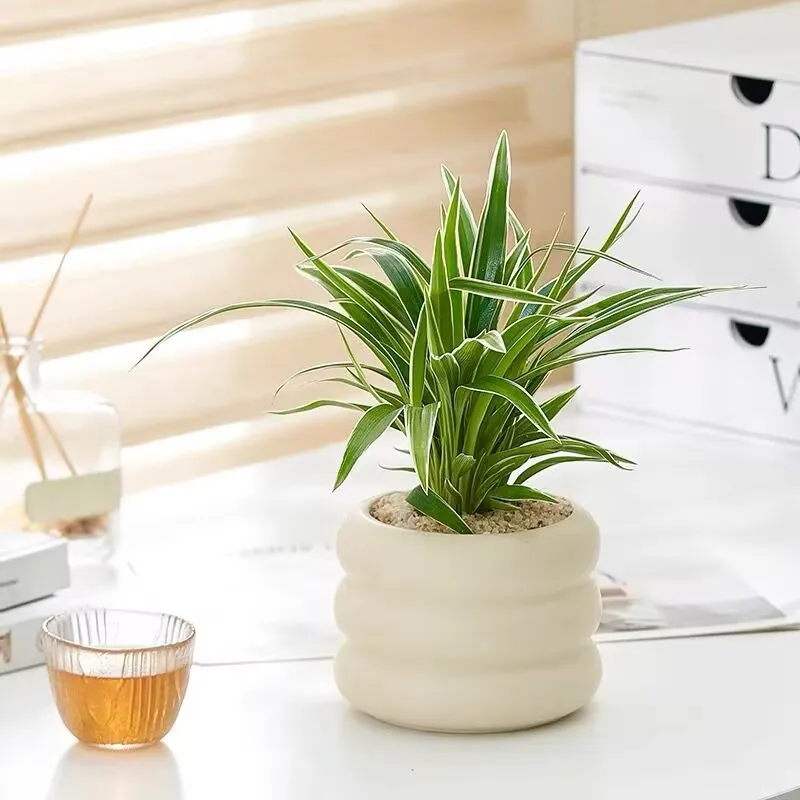 Small Size Light Luxury Premium Ceramic Planter Diversified Ceramic Vase For Interior Decoration Planter