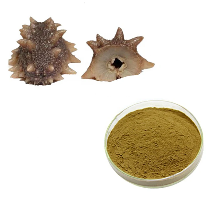 
100% natural Sea Cucumber Extract Powder price 