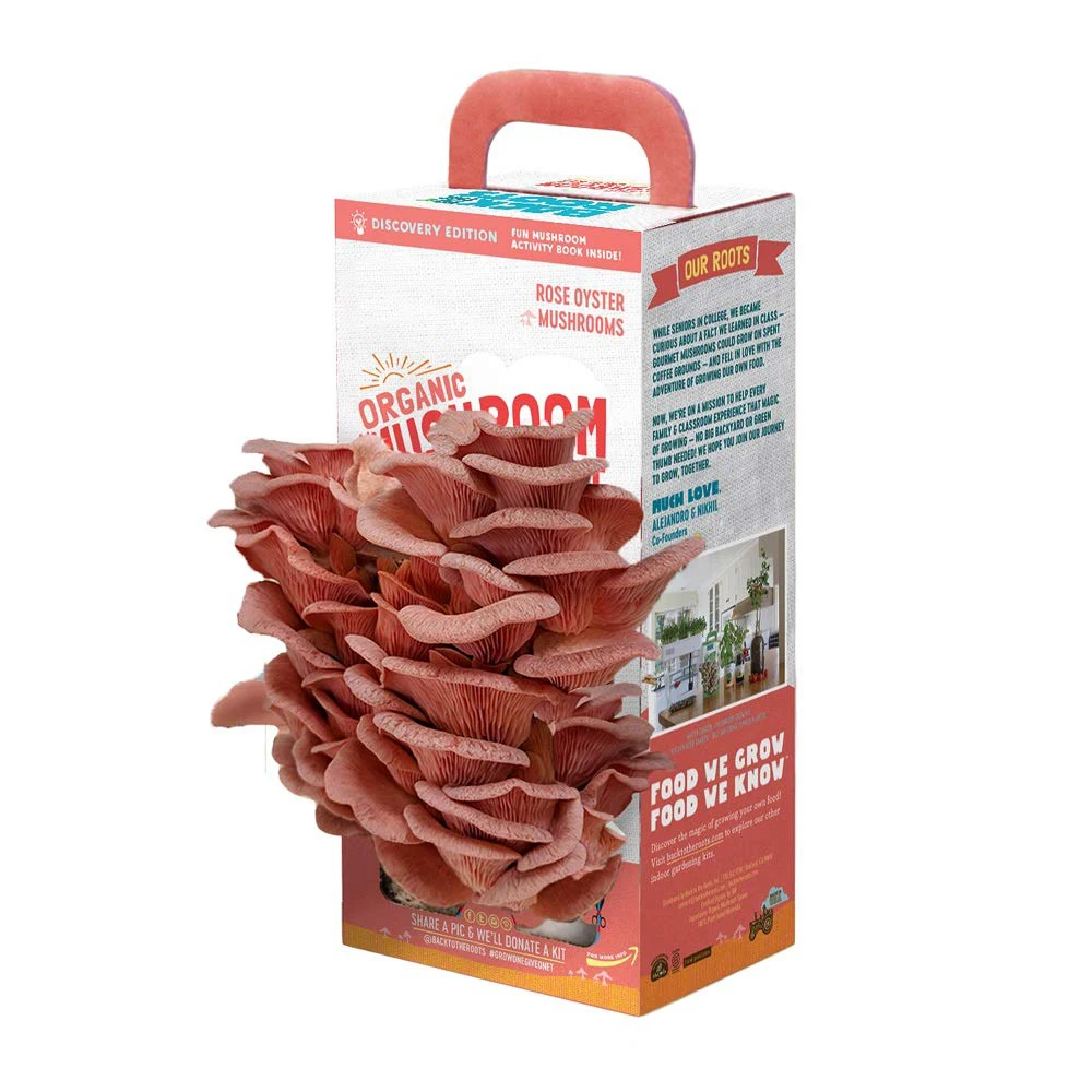 Custom Brand Organic Oyster Corrugated Cardboard Mushroom Growing Kit Paper Boxes Packaging Box For Mushroom