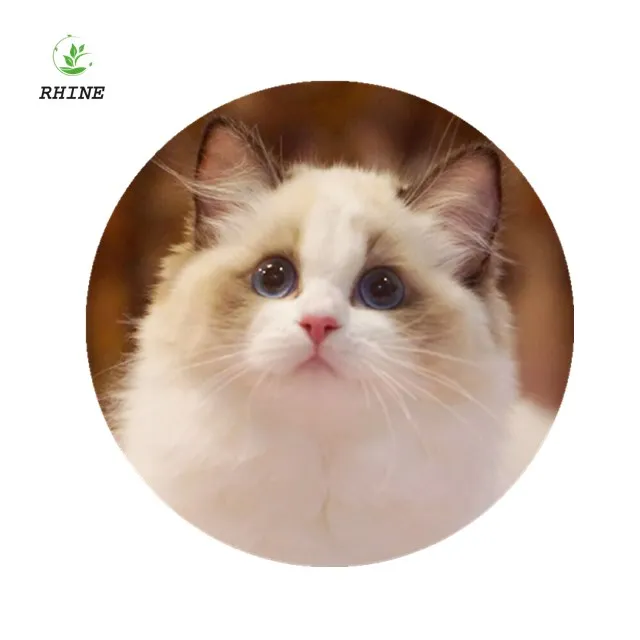 
Consulting Service for FIPV Prevention for cat 