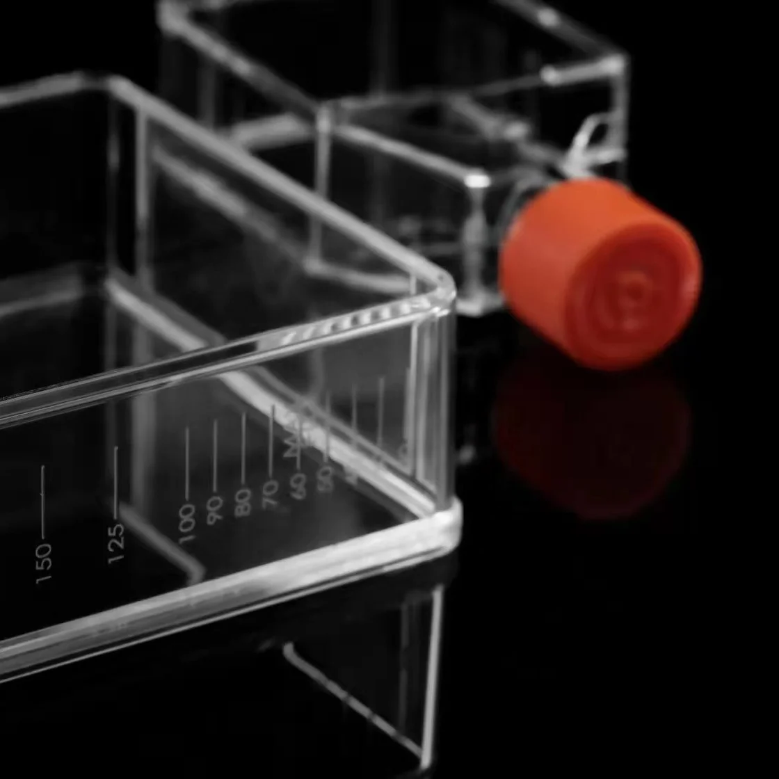 cell culture flask 225CM2 aaelab biologix cell culture flasks tissue culture flask 225CM2