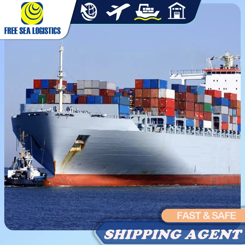 from China import export custom clearing agent provide singapore /malaysia /Vietnam customs clearance service