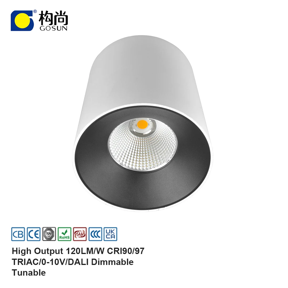IP20 5-year warranty indoor lighting surface mounted light suspended pendent lamp 15W cob led downlight